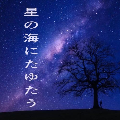 星の海にたゆたう