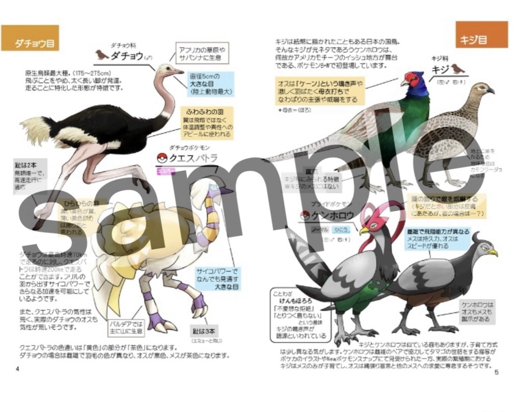 形態比較イラスト集 トリポケモンと元ネタのトリ