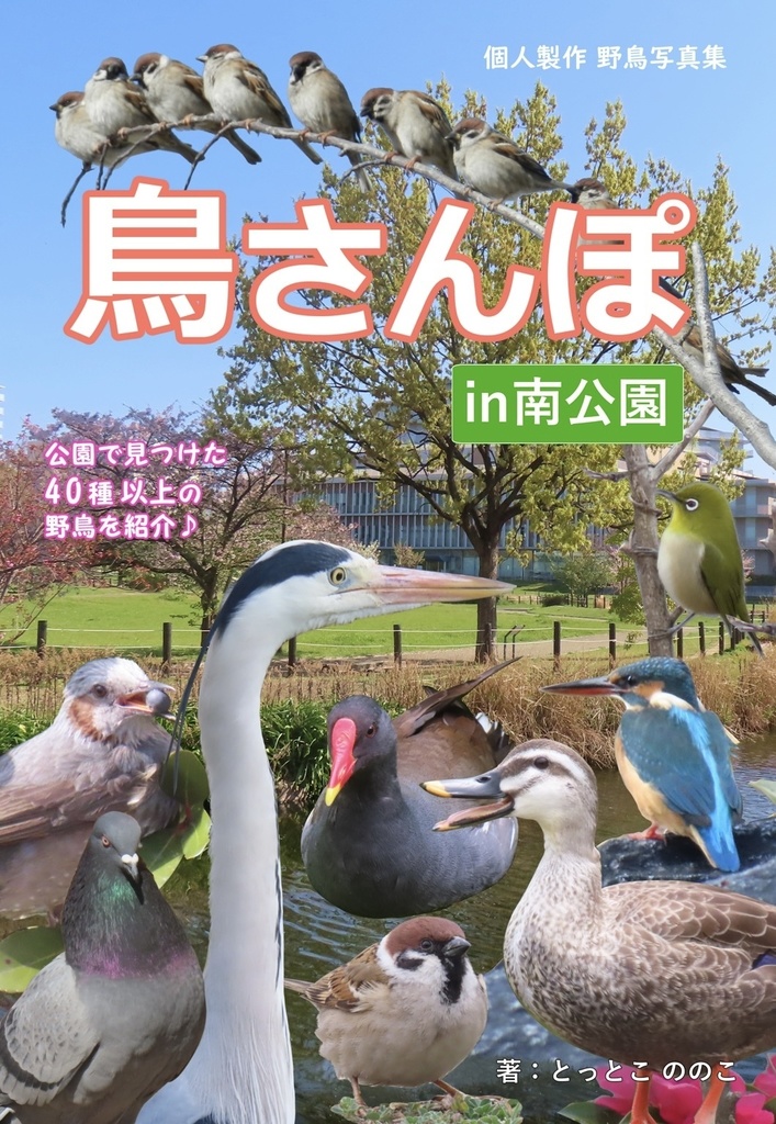 個人製作野鳥写真集　鳥さんぽ　in南公園
