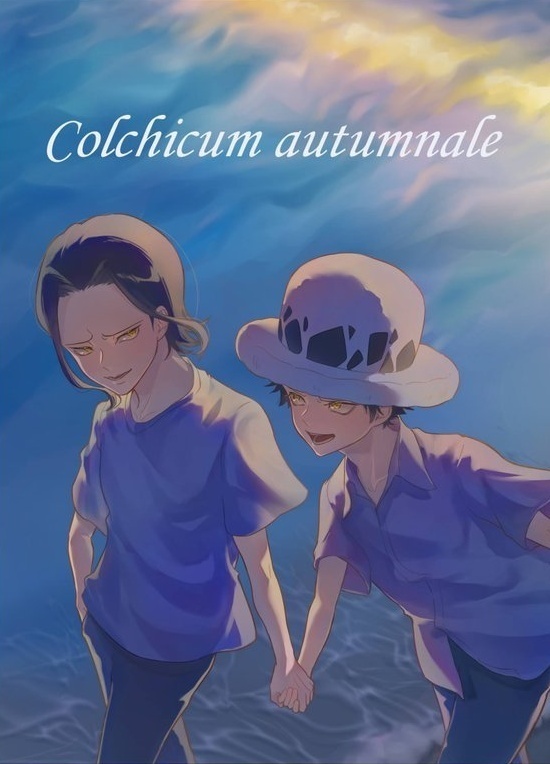 Colchicum autumnale~コルチカム~