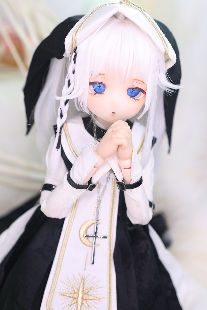 DDH-29 SW カスタムヘッド