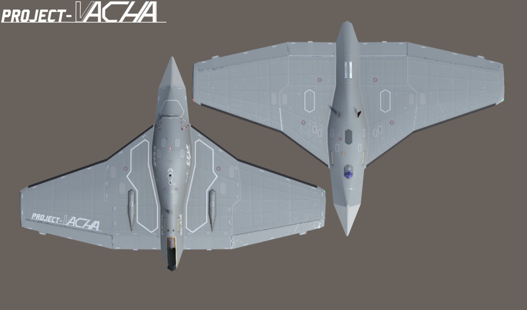 Vacha UCAV with Container