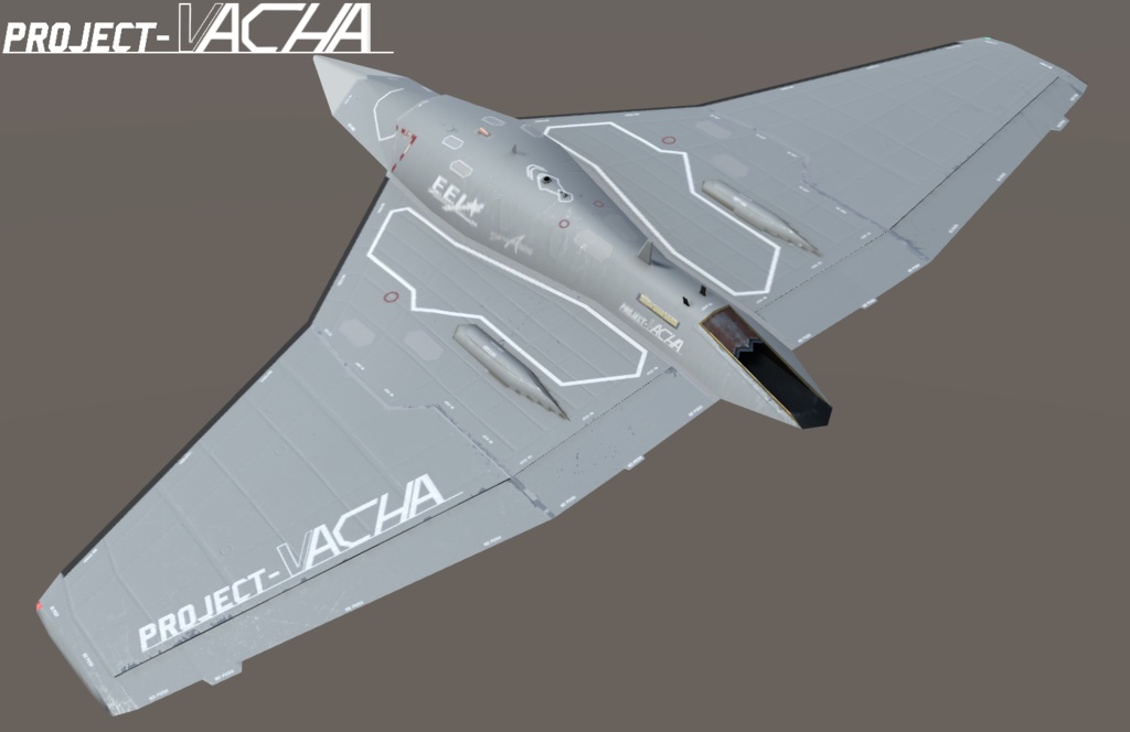 Vacha UCAV with Container