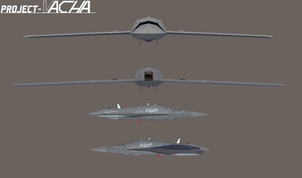 Vacha UCAV with Container