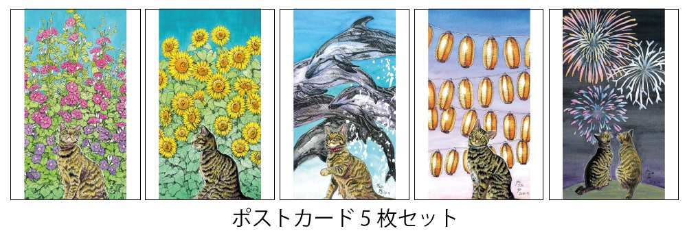 ポストカードセット　夏猫5種類