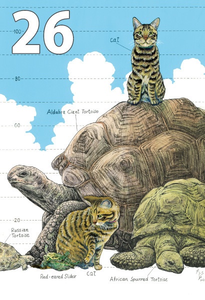 ポストカード各種