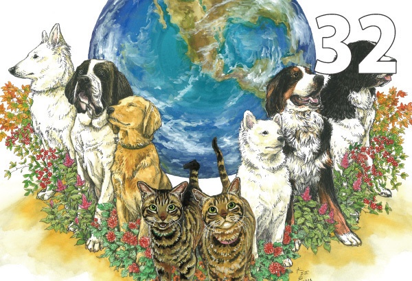 ポストカード各種