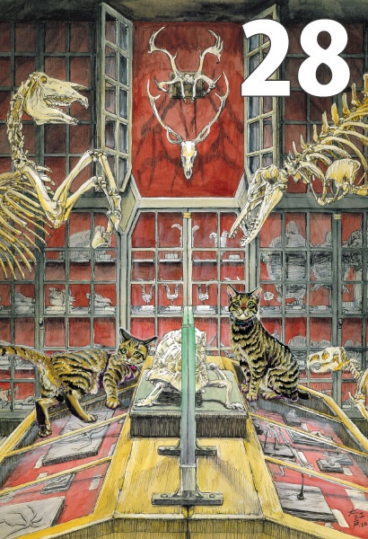 ポストカード各種