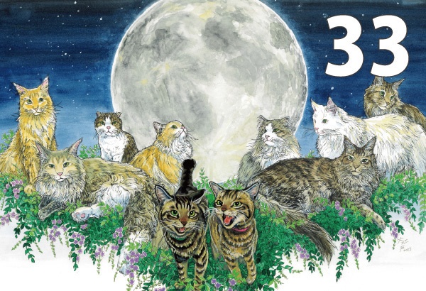 ポストカード各種