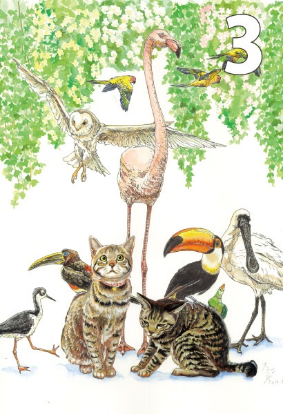 ポストカード各種