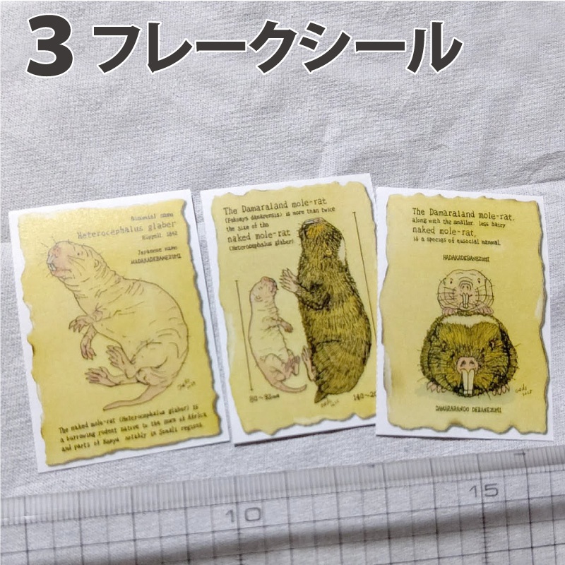 ハダカデバネズミ グッズ各種