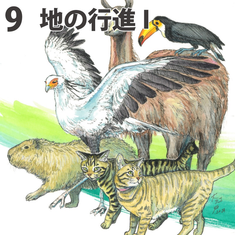 猫以外原画 やや小サイズ&中サイズ