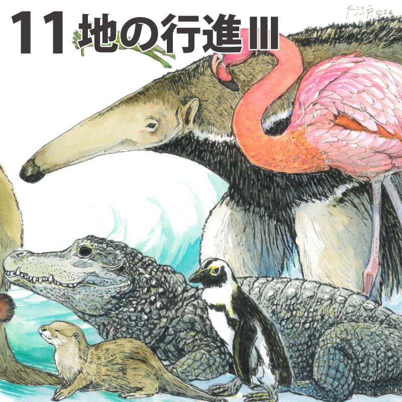 猫以外原画 やや小サイズ&中サイズ