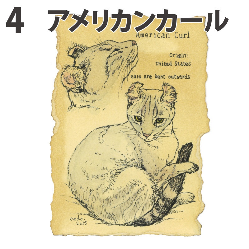 アンティーク風ハガキサイズ原画