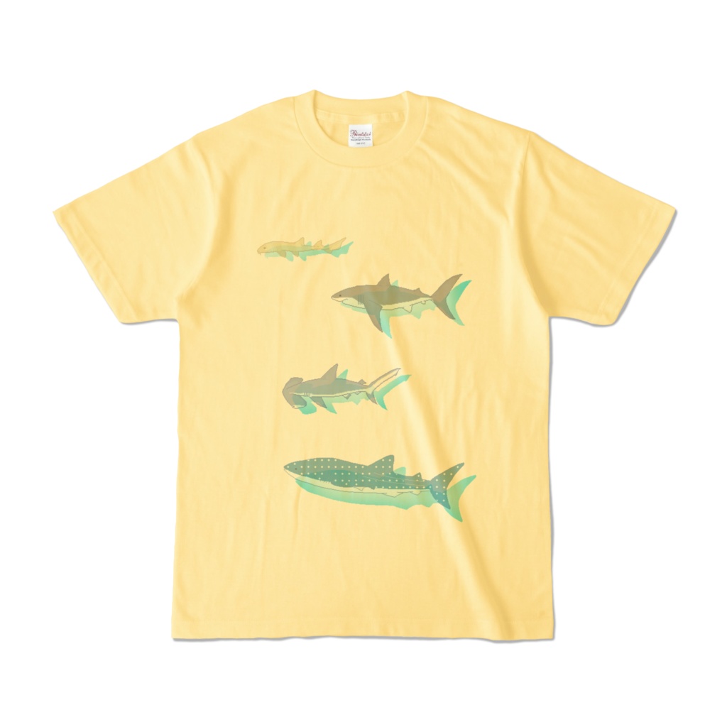 ドットサメ透けTシャツ(Tシャツカラー有)