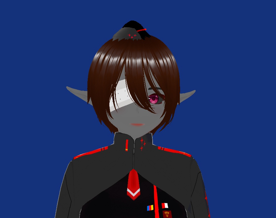 SIGNALIS Uniform Pack People's Army, 5th Vinetan Infantry Division, Unit 12