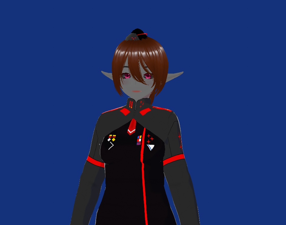 SIGNALIS Uniform Pack People's Army, 5th Vinetan Infantry Division, Unit 12