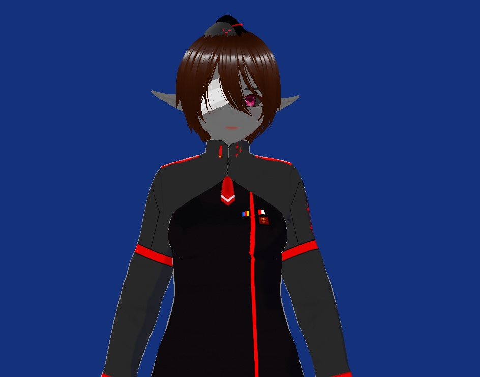 SIGNALIS Uniform Pack People's Army, 5th Vinetan Infantry Division, Unit 12