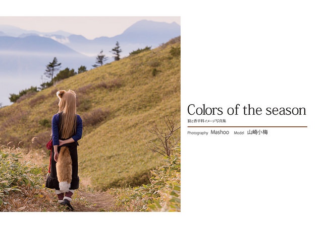 Colors of the season