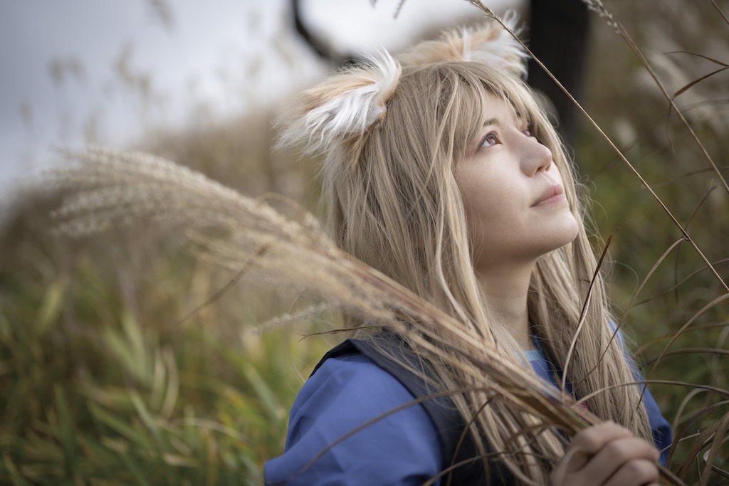 ホロホロホロさんの旅