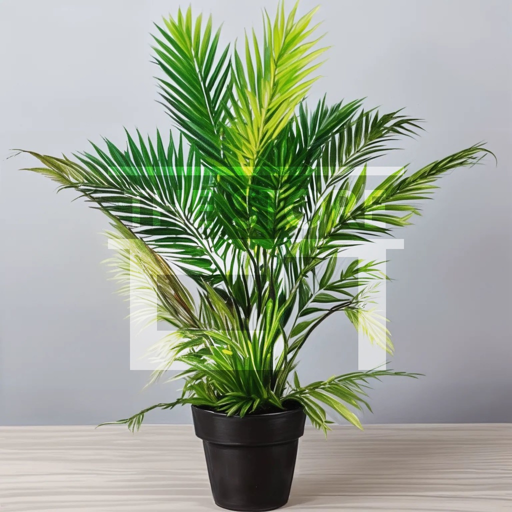 【イラスト素材】観葉植物