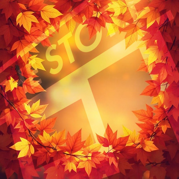 【イラスト素材】葉っぱのフレーム1