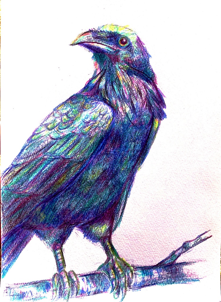 カラフルカラス