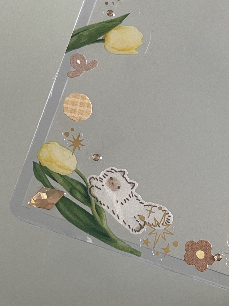 B8♤チューリップ