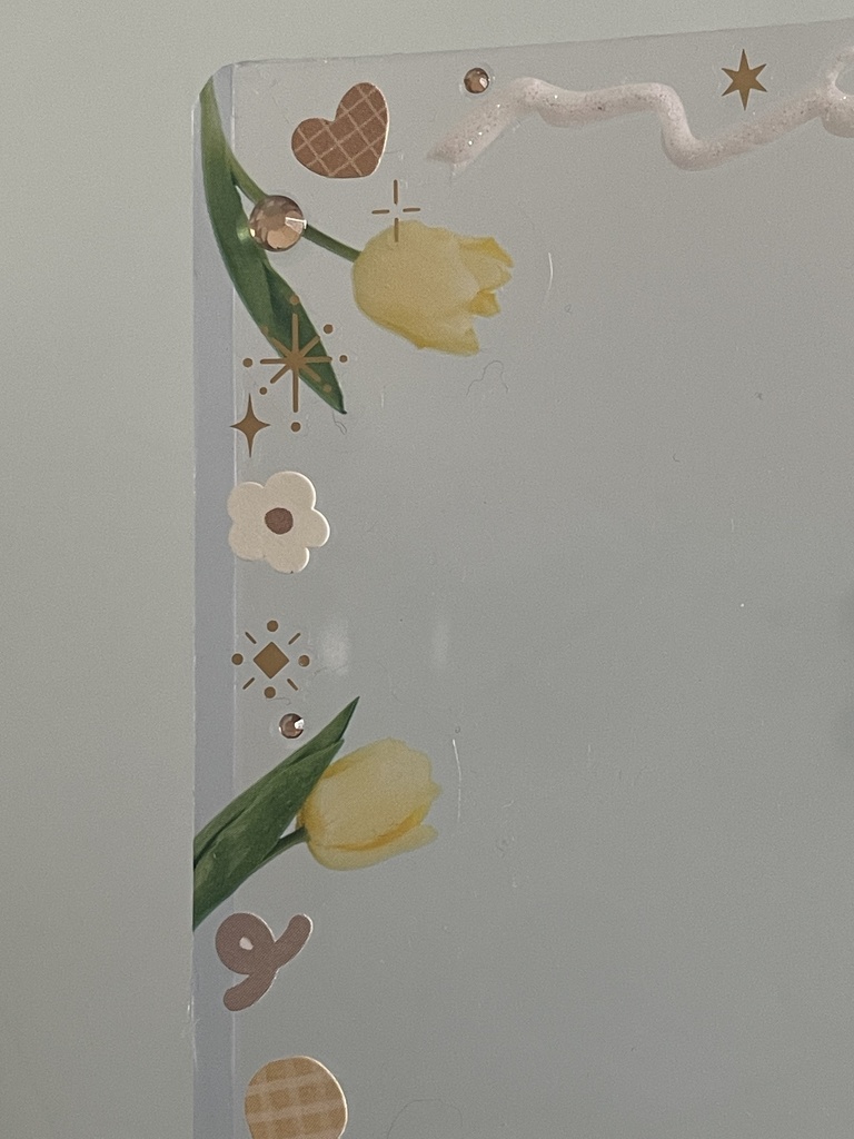 B8♤チューリップ