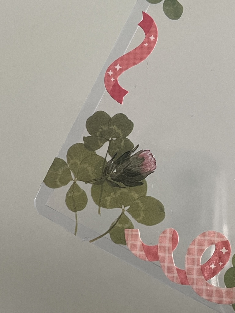 B8♤クローバー