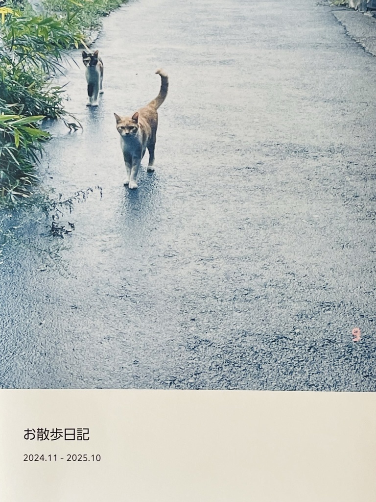 お散歩日記