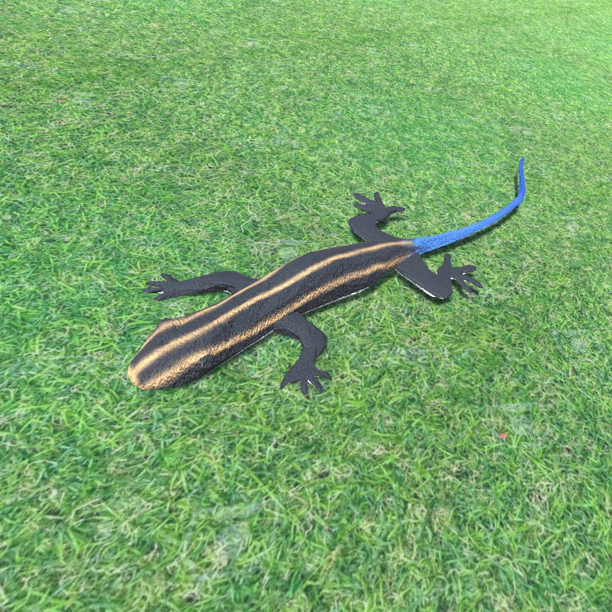 トカゲ 3Dモデル 無料/Lizard 3D model free/Blender fbx