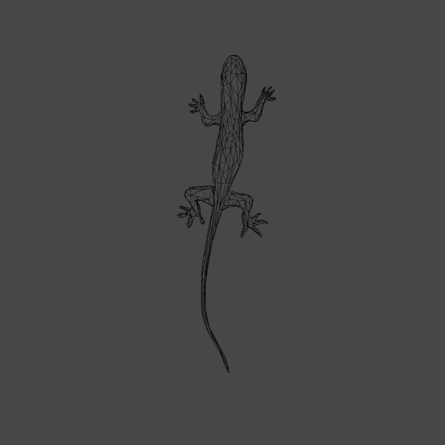 トカゲ 3Dモデル 無料/Lizard 3D model free/Blender fbx