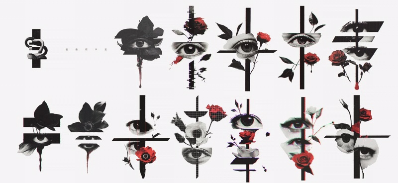 〖無料有〗素材集║眼球探索〖GIF・APNG・WEBP〗