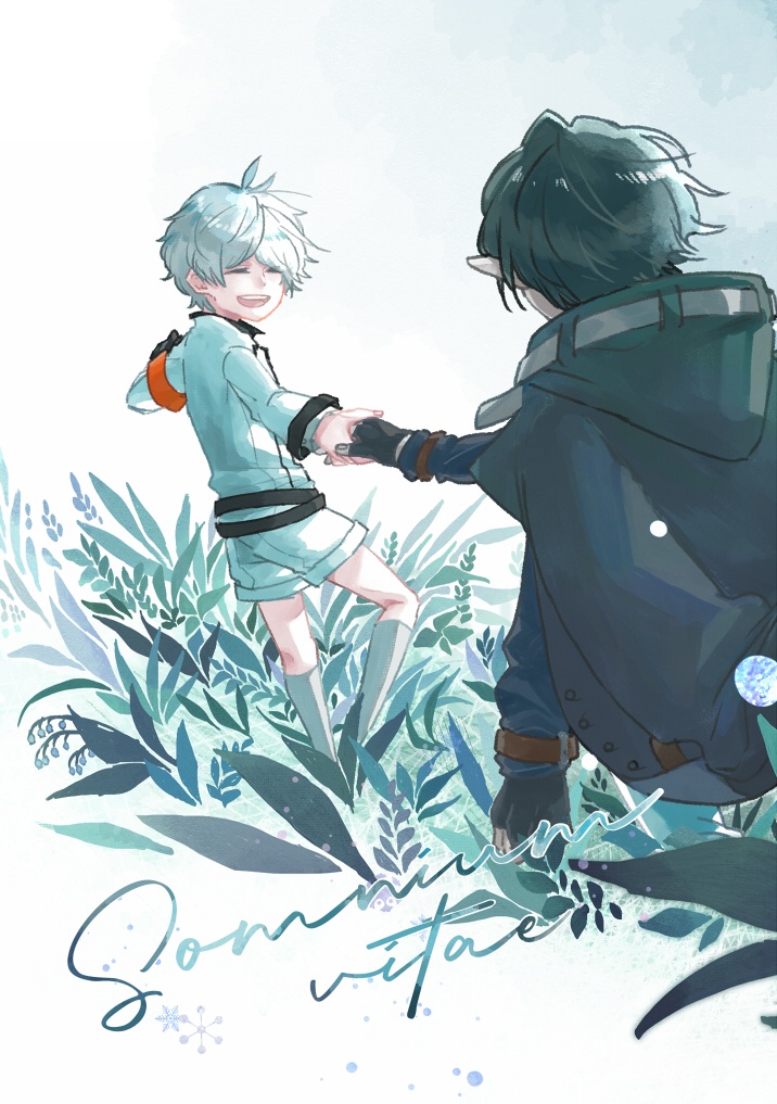 Somnium vitae