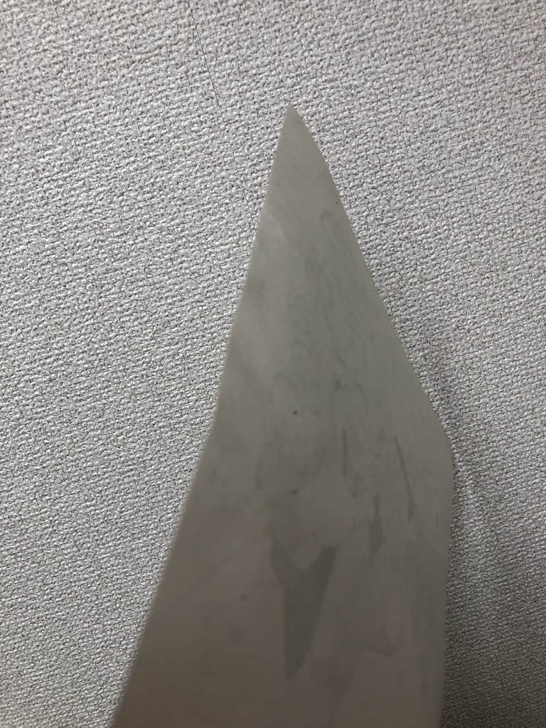 わたしがお外に、つれてったげる!