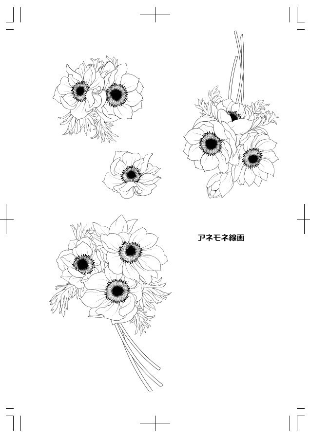 アネモネ線画