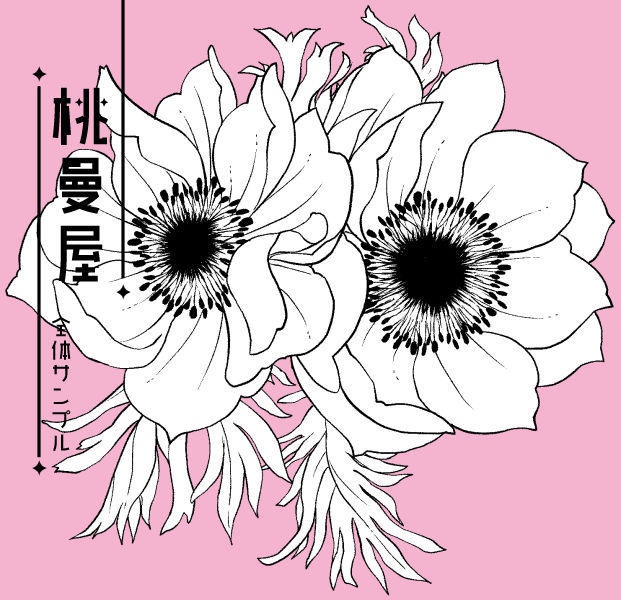 アネモネ線画