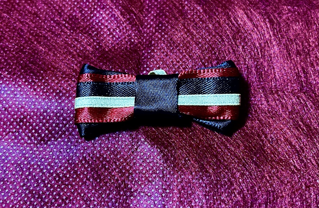 陸奥一蓮イメージ こもち リボンチャーム