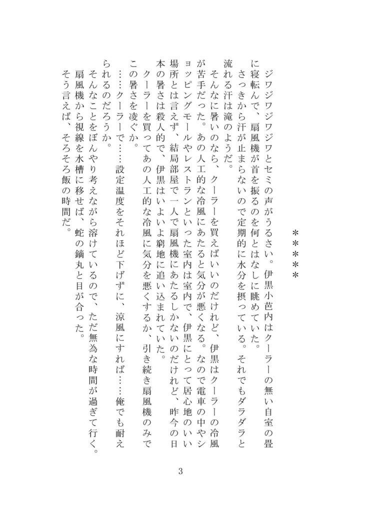 ほしくずパレード【おばみつ】【匿名配送版】