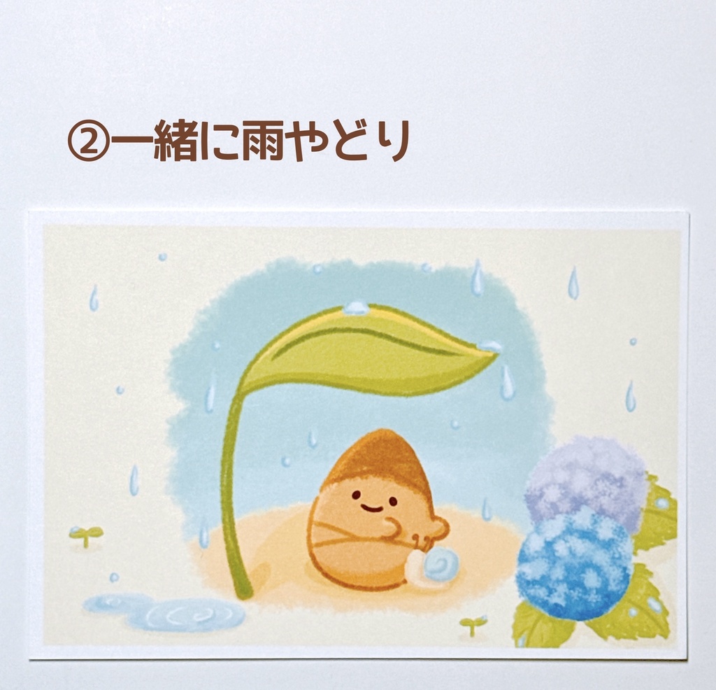 季節のポストカード