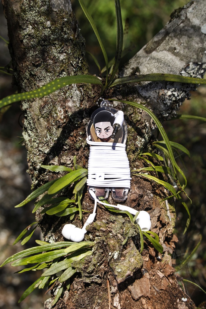 縛り上げアクキー(月受)