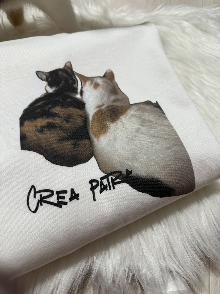 くれぱちょトレーナー🐈