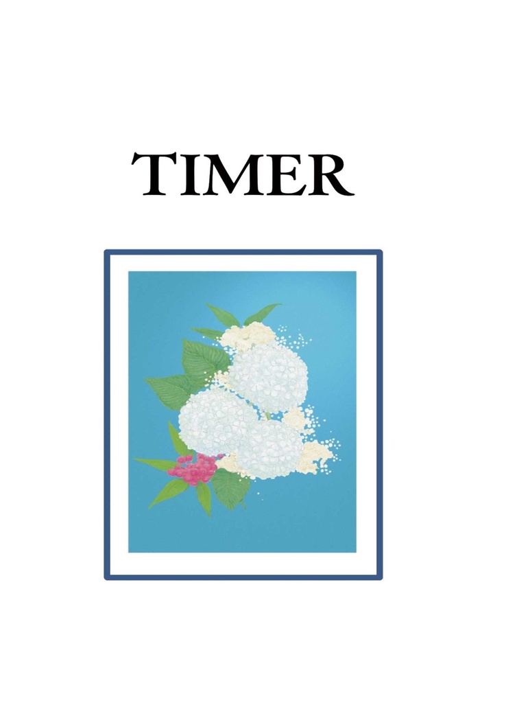 TIMER