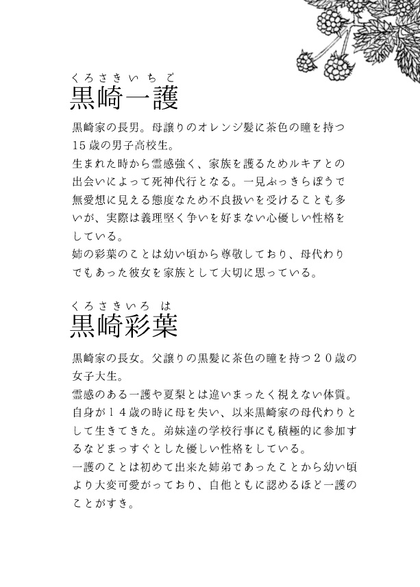 【7/15より頒布 脱色夢小説】onyx【黒崎一護】