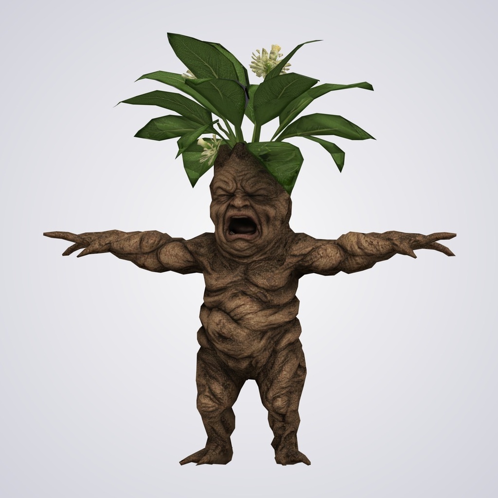 マンドラゴラの3Dモデル