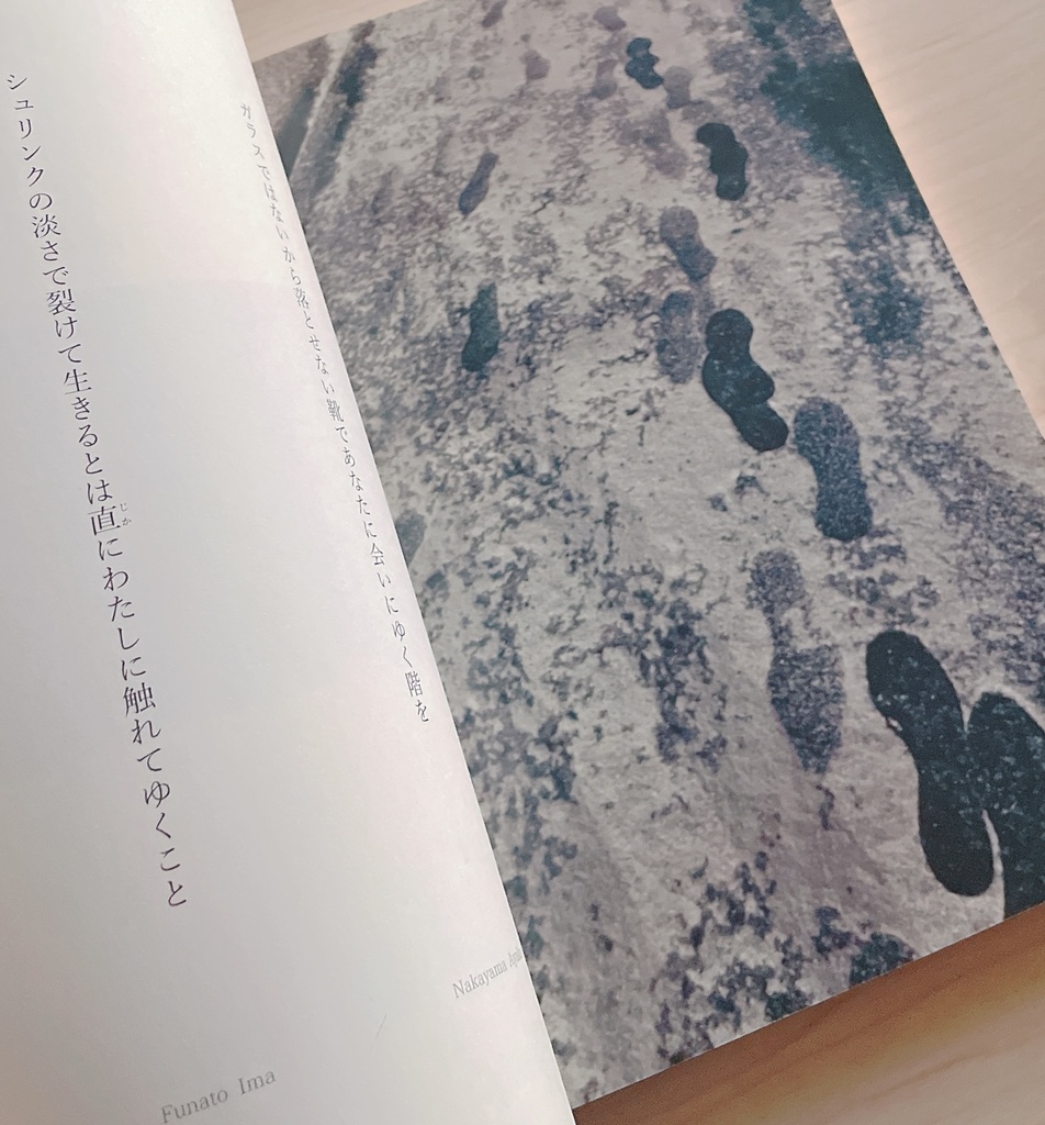 view1 助手席とシャンデリア