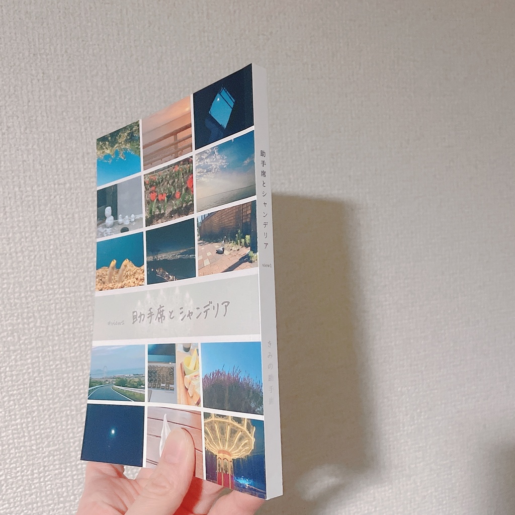 view1 助手席とシャンデリア