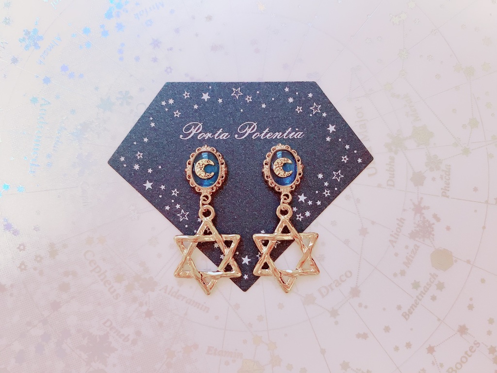 冬の１等星のイヤリング/ピアス