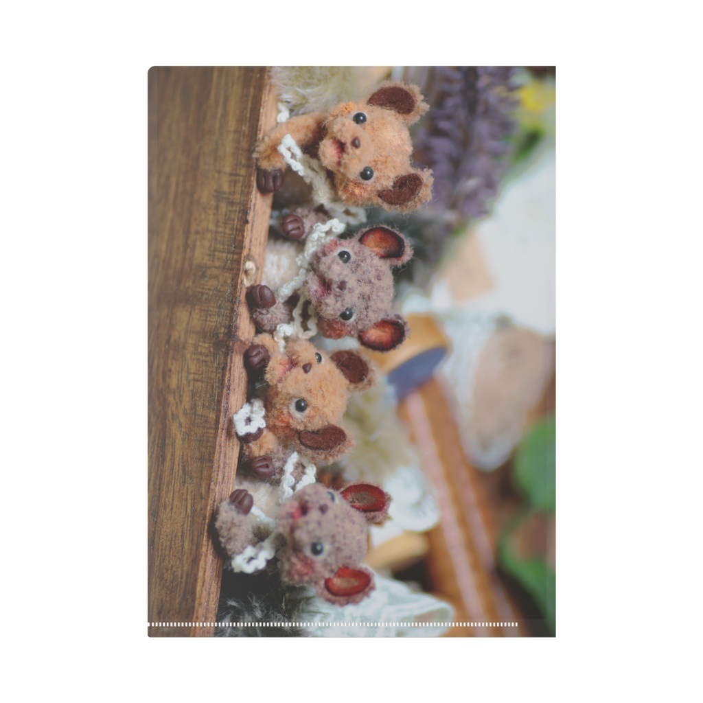 タヌキ×エゾリスファイル